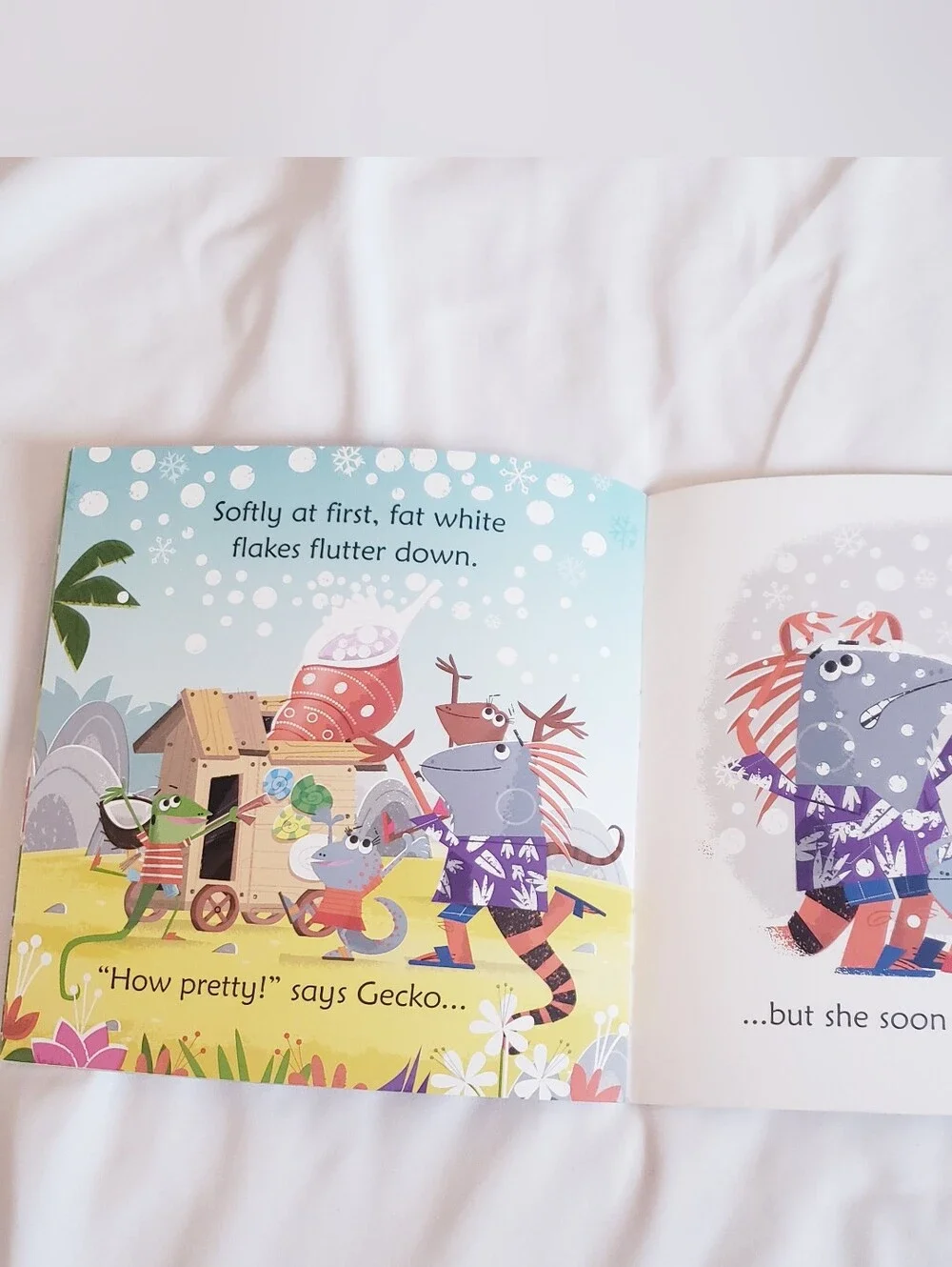 Usborne Phonics Readers 